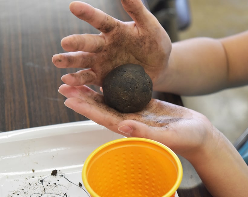 エコ黒土で芽が出る！蜜源植物のたねダンゴ作り